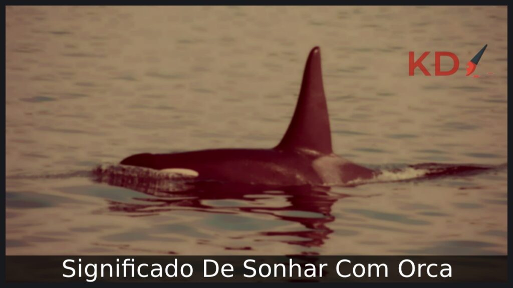 Sonhar com Orca: interpretações e simbolismo!