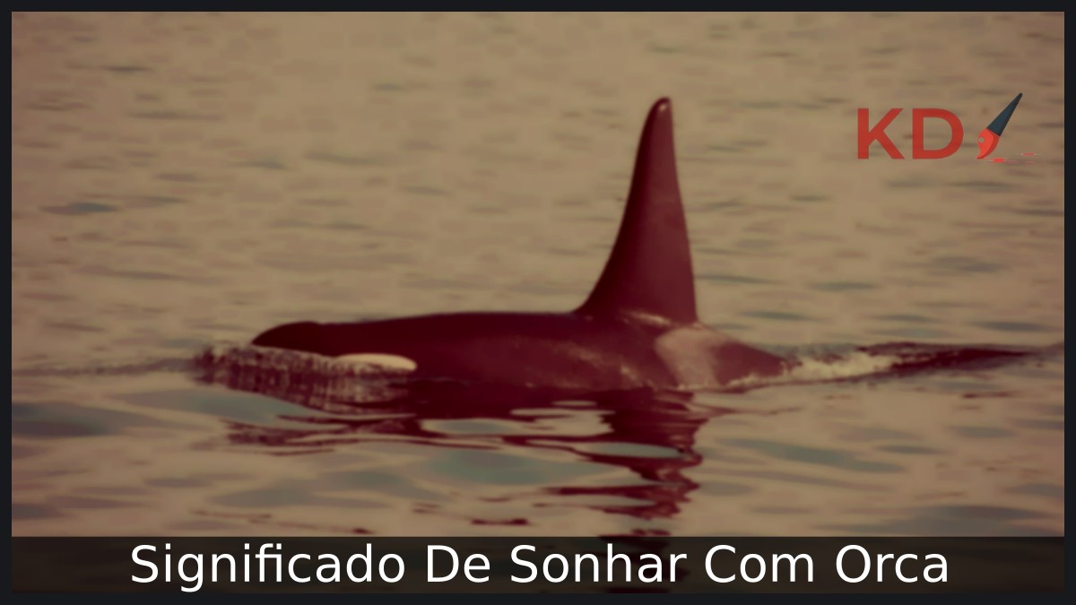 Sonhar com Orca: interpretações e simbolismo! 19 Sonhar com Orca: interpretações e simbolismo!