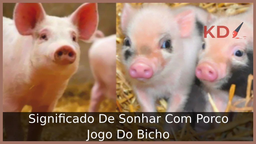 Sonhar Com Porco Jogo Do Bicho