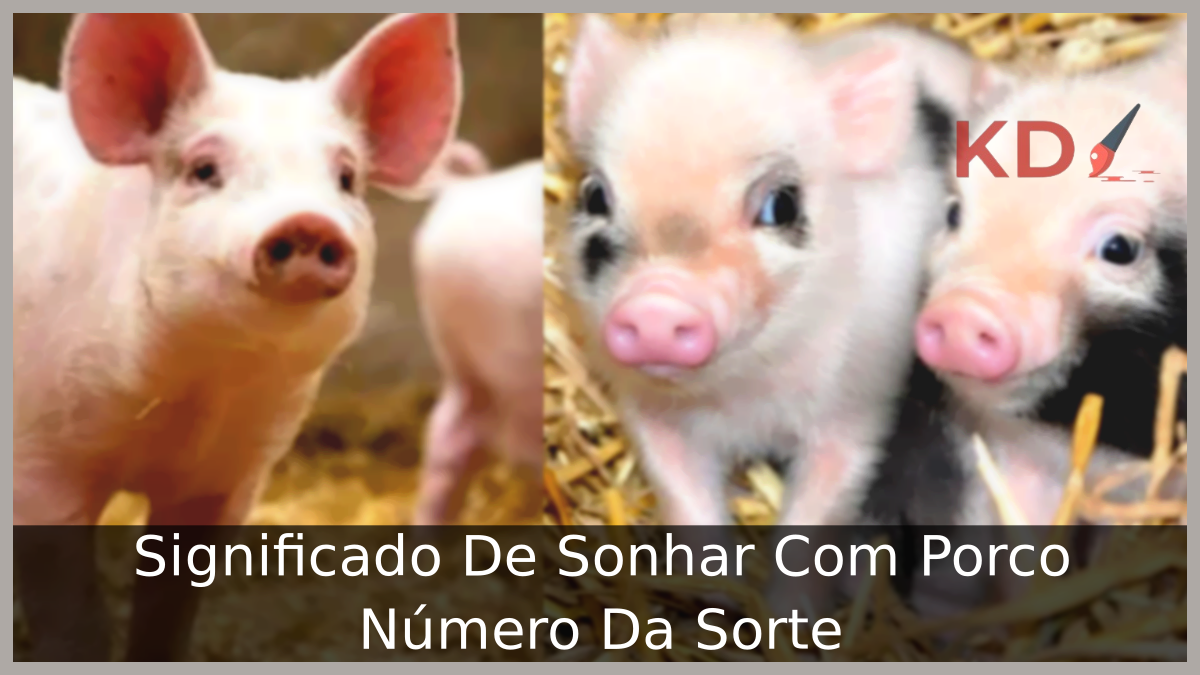 Conheça o Verdadeiro Significado De Sonhar Com Porco Número Da Sorte 3 Sonhar Com Porco Número Da Sorte