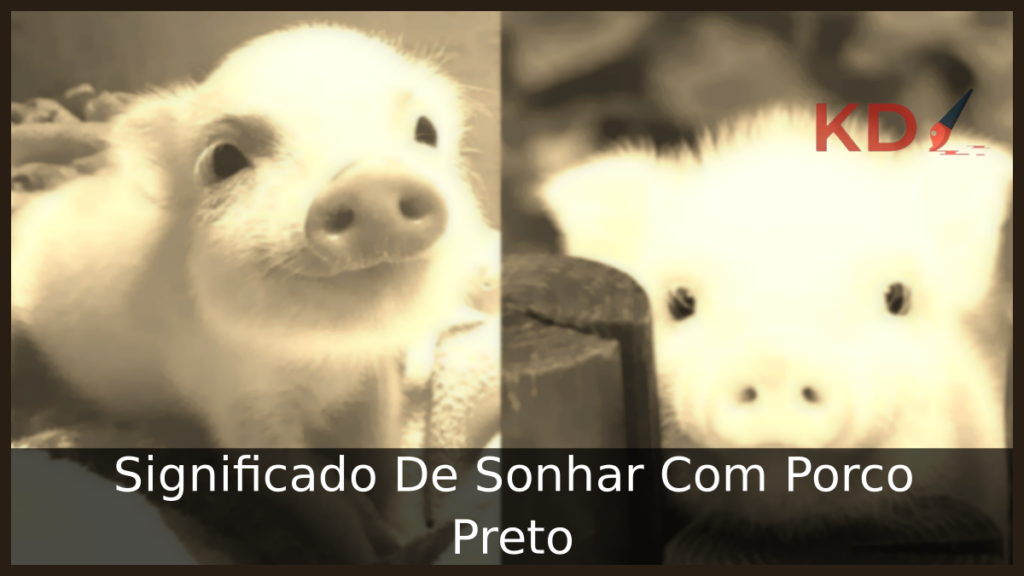 Conheça o Verdadeiro Significado De Sonhar Com Porco Preto 1 Sonhar Com Porco Preto