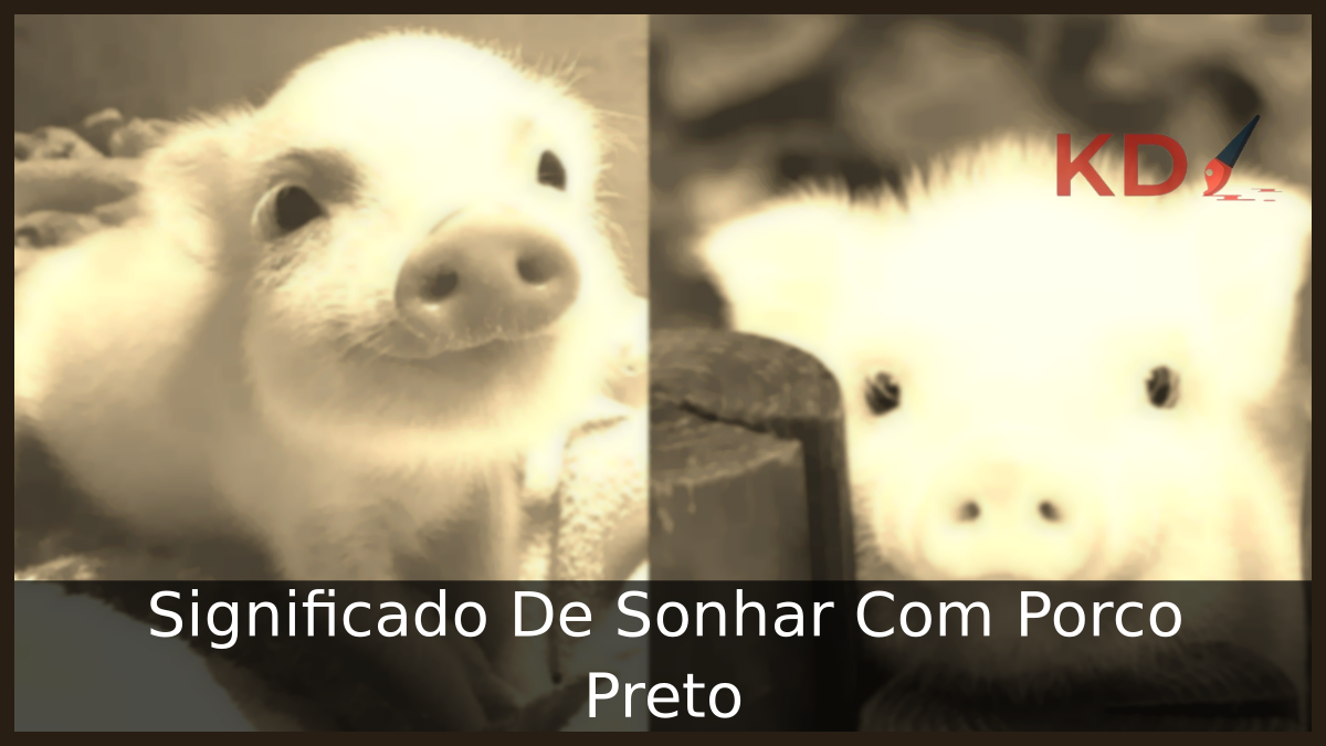 Conheça o Verdadeiro Significado De Sonhar Com Porco Preto 3 Sonhar Com Porco Preto