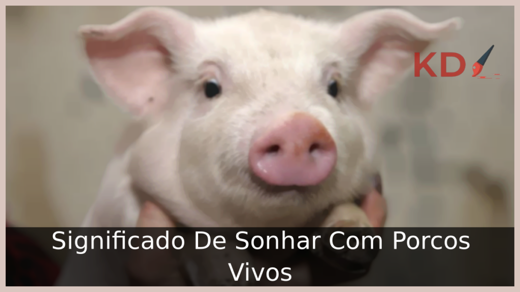 Conheça o Verdadeiro Significado De Sonhar Com Porcos Vivos 1 Sonhar Com Porcos Vivos