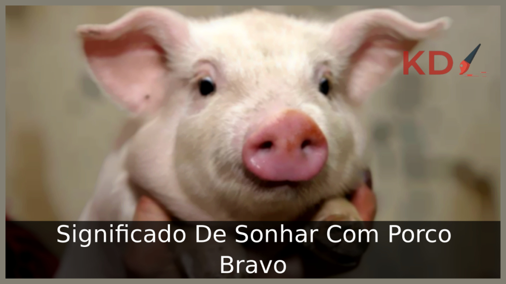 Significado De Sonhar Com Porco Bravo 1 Sonhar Com Porco Bravo