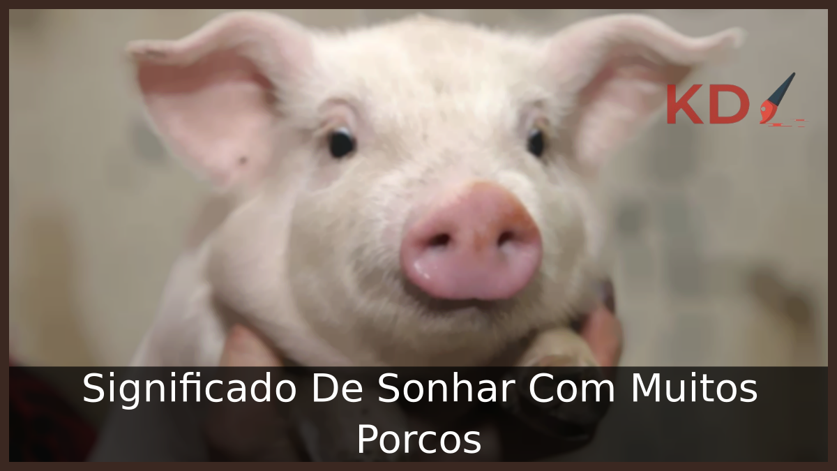 Sonhar Com Muitos Porcos