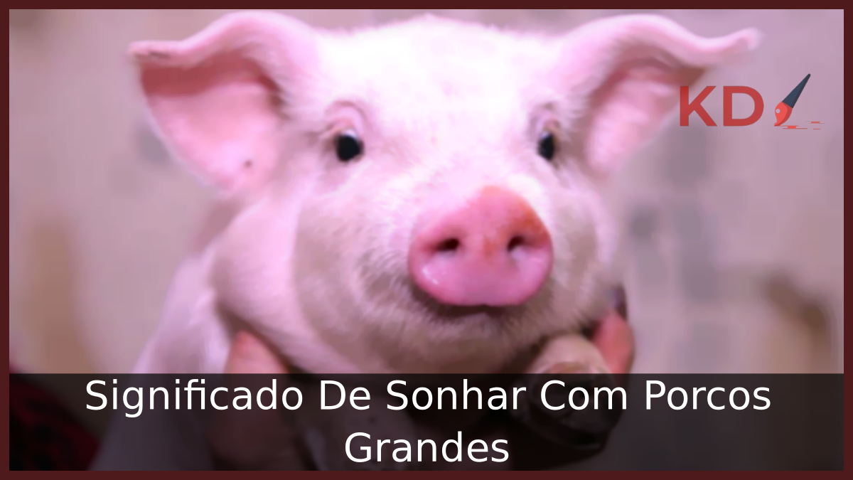 Significado De Sonhar Com Porcos Grandes 17 Sonhar Com Porcos Grandes