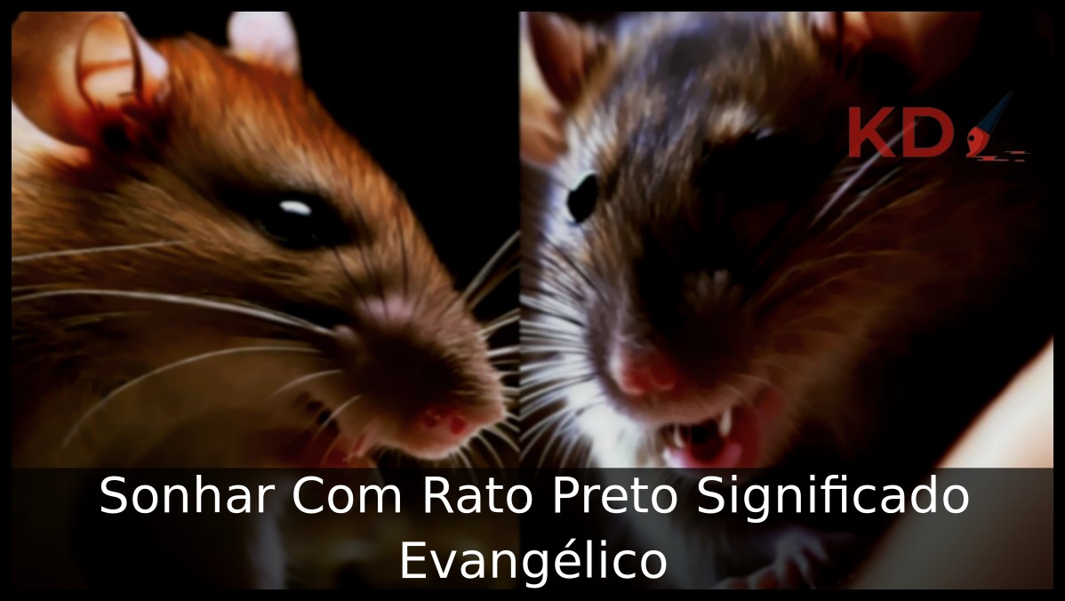 Sonhar Com Rato Preto