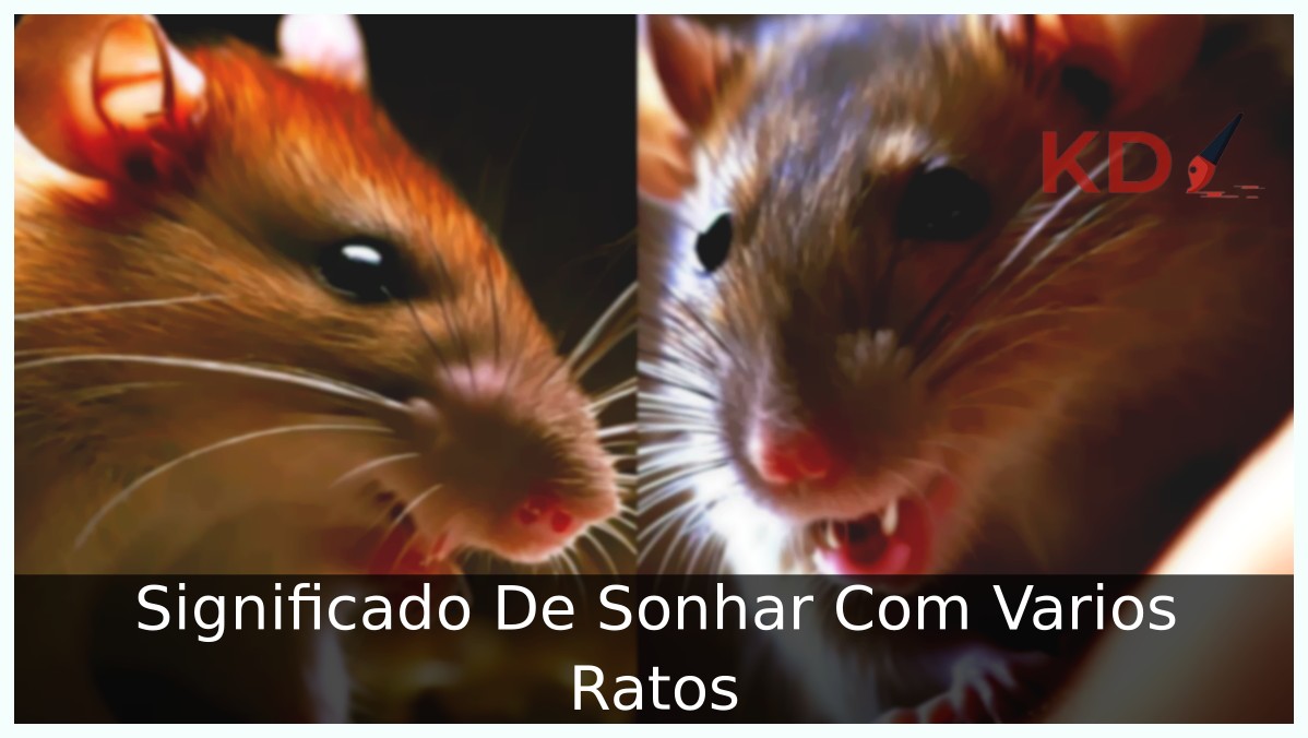 Sonhar Com Varios Ratos