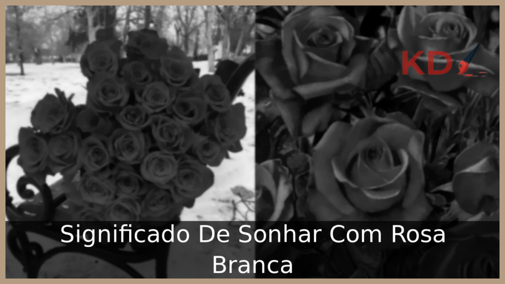 Conheça o Significado De Sonhar Com Rosa Branca 1 Sonhar Com Rosa Branca