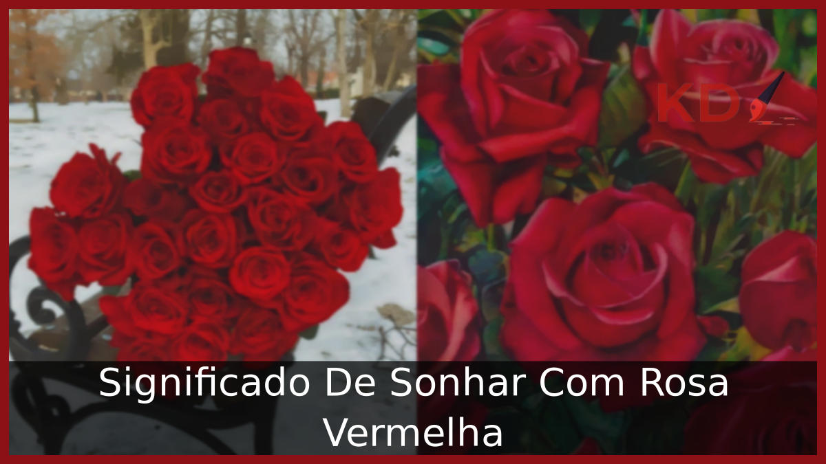 Sonhar Com Rosa Vermelha