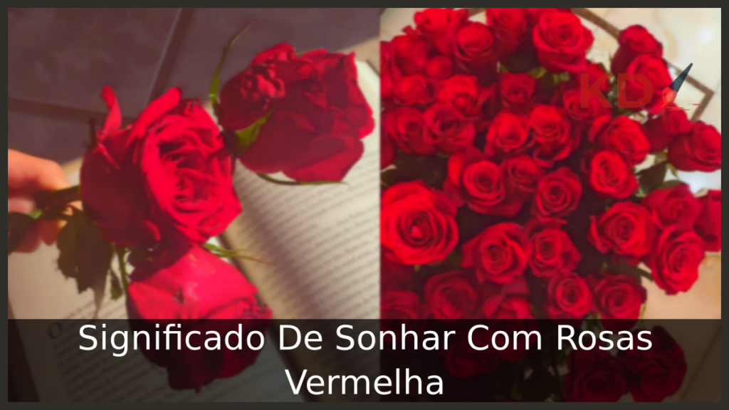 Significado De Sonhar Com Rosas Vermelha 1 Sonhar Com Rosas Vermelha