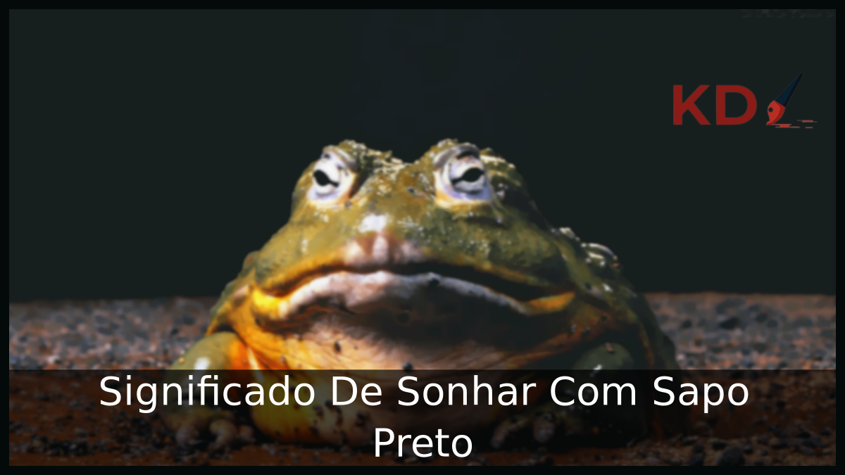 Sonhar Com Sapo Preto