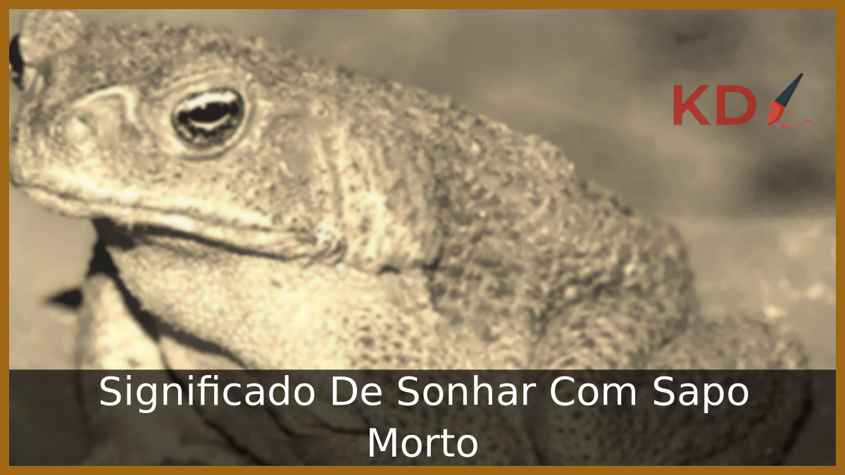 Sonhar Com Sapo Morto