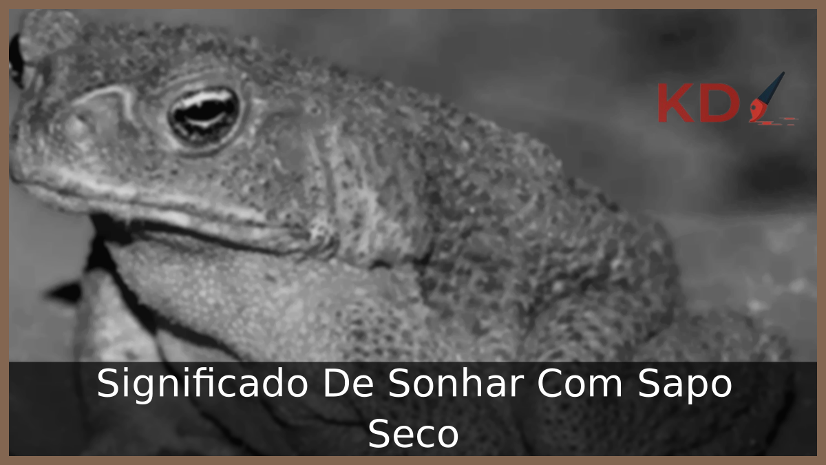 Sonhar Com Sapo Seco