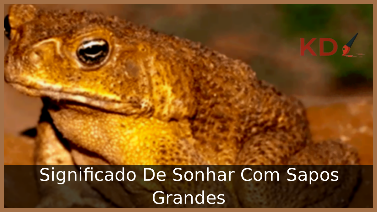 Sonhar Com Sapos Grandes