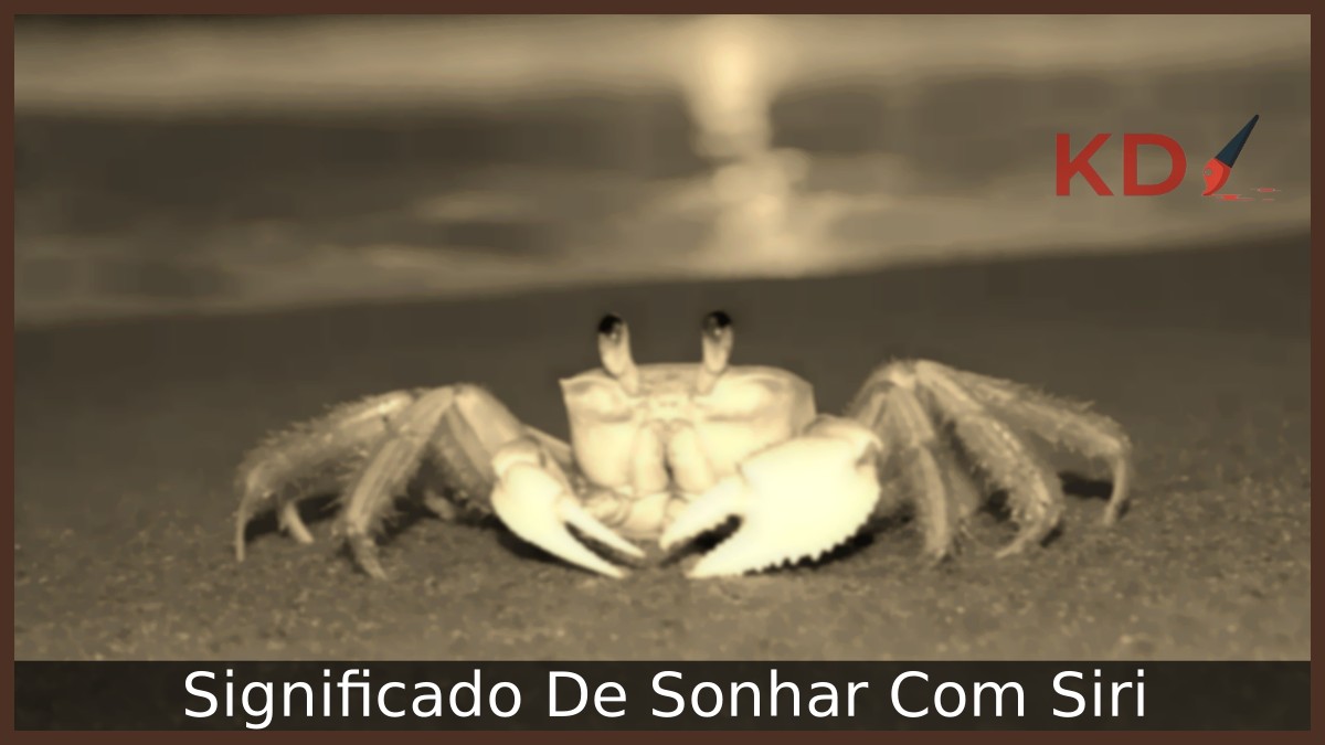 Sonhar com siri: descubra os segredos por trás das visões de caranguejos!