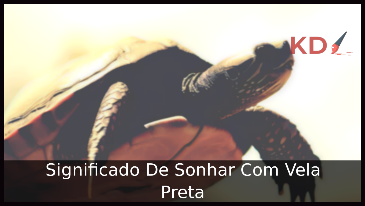 Sonhar Com Tartaruga Jogo Do Bicho