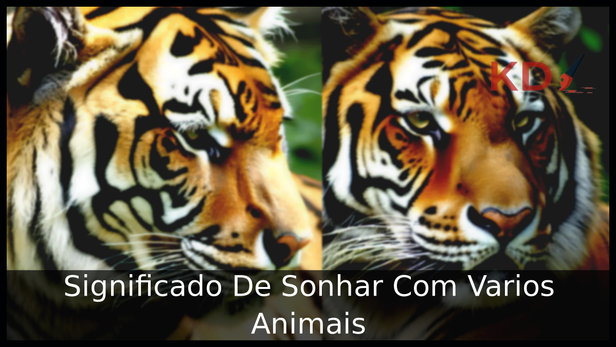 Conheça o Verdadeiro Significado De Sonhar Com vários Animais 12 Sonhar Com vários Animais