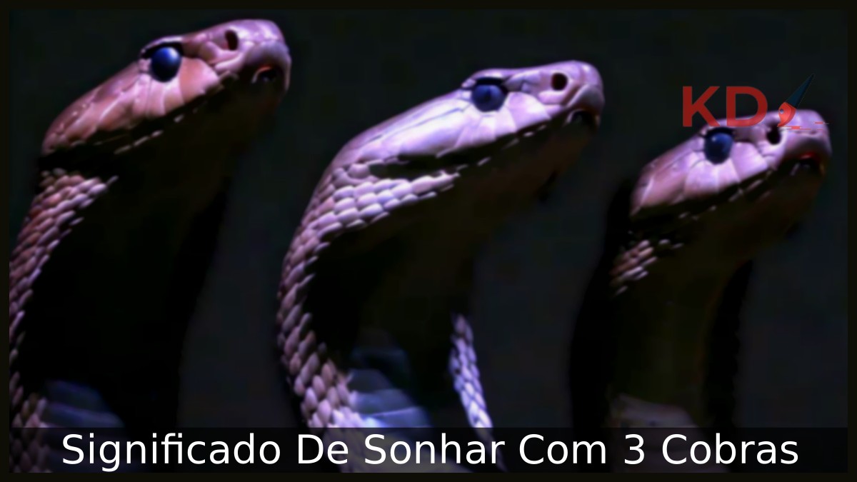Sonhar Com 3 Cobras: Significado real! 4 Sonhar Com 3 Cobras