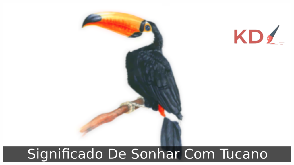 Sonhar Com Tucano