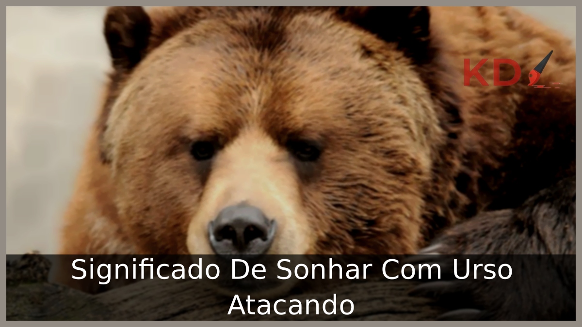 Sonhar Com Urso Atacando