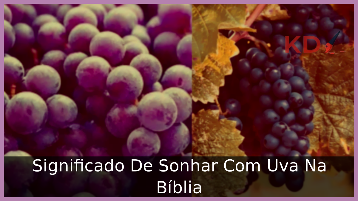 Sonhar Com Uva Na Bíblia