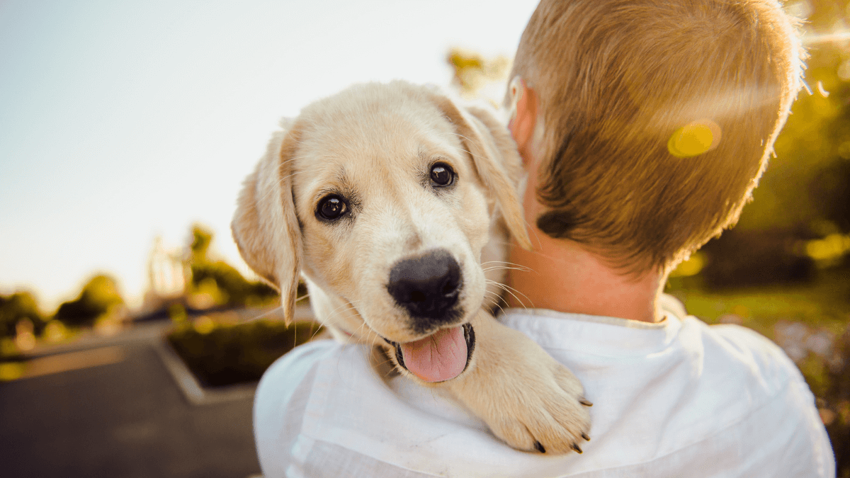 Nomes engraçados para cachorro, mais de 450 ideias criativas! 6 Cachorro e seu dono