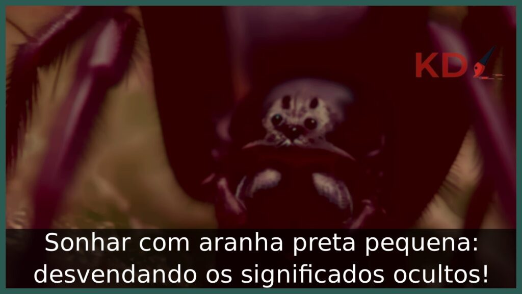 Sonhar com aranha preta pequena: desvendando os significados ocultos! 1 Sonhar com aranha preta pequena: desvendando os significados ocultos!
