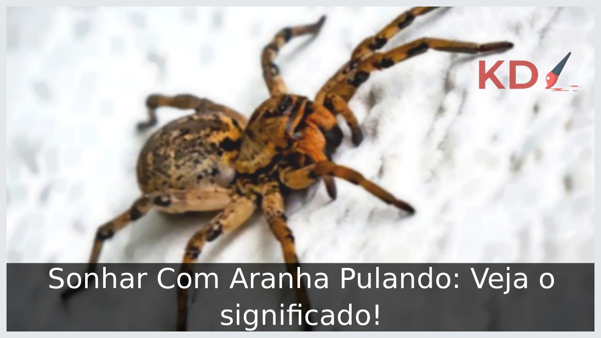 Sonhar Com Aranha Pulando: Veja o significado! 16 Sonhar Com Aranha Pulando: Veja o significado!