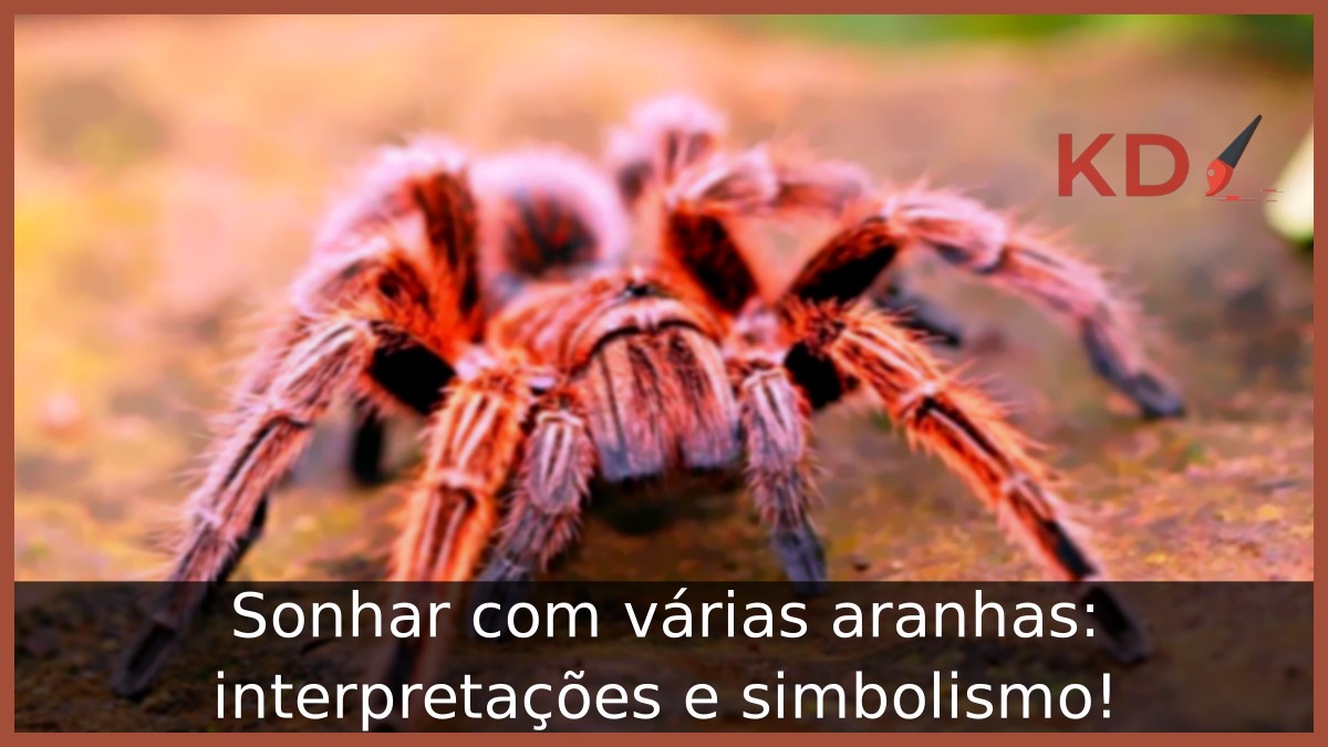 Sonhar com várias aranhas: interpretações e simbolismo! 2 Sonhar com várias aranhas: interpretações e simbolismo!