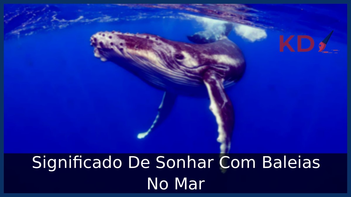 Sonhar Com Baleias No Mar: Entenda o Significado! 13 Sonhar Com Baleias No Mar