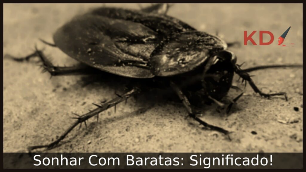 Sonhar Com Baratas: Significado! 1 Sonhar Com Baratas: Significado!