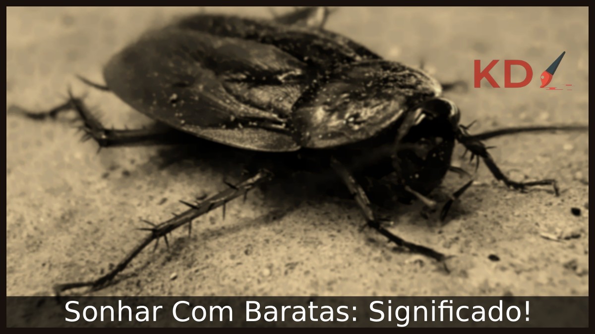 Sonhar Com Baratas: Significado! 15 Sonhar Com Baratas: Significado!