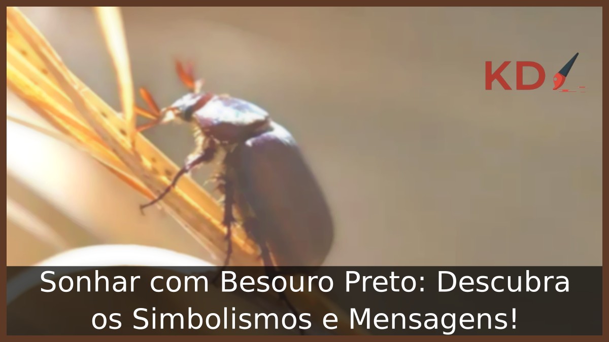 Sonhar com Besouro Preto: Descubra os Simbolismos e Mensagens! 15 Sonhar com Besouro Preto: Descubra os Simbolismos e Mensagens!