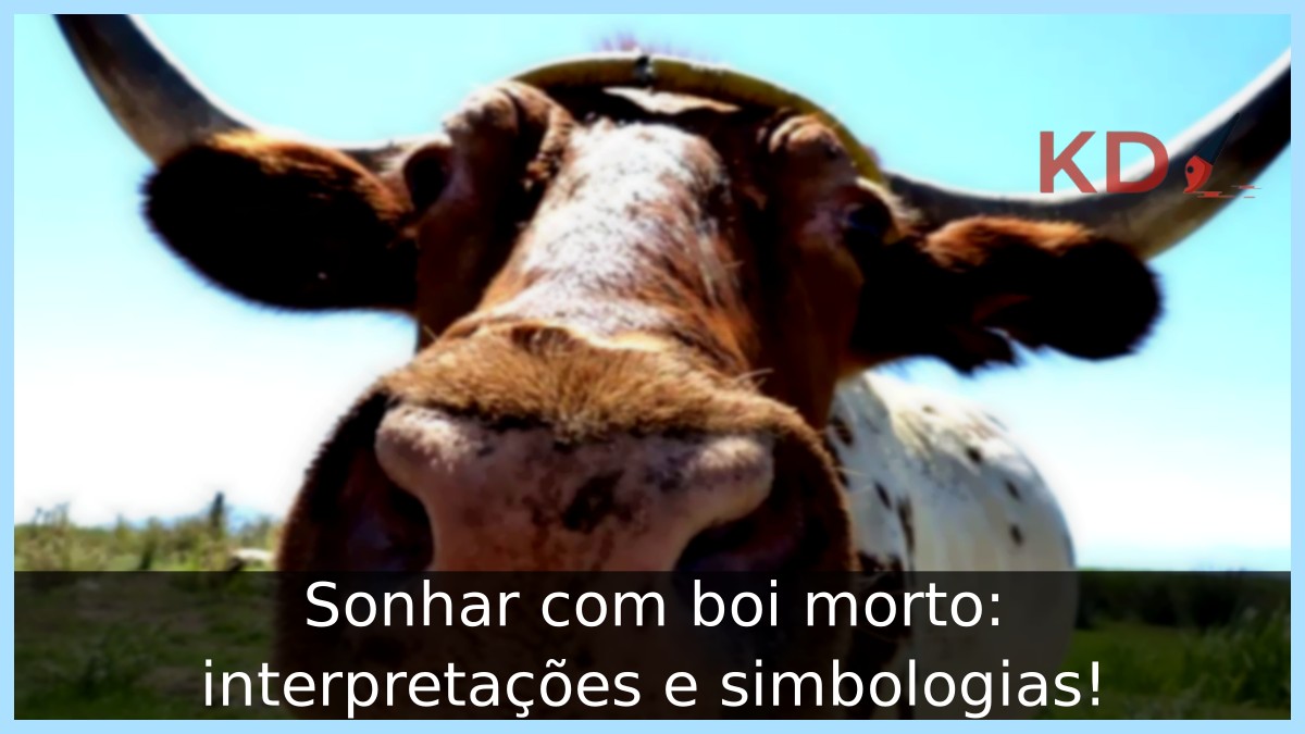 Sonhar com boi morto: interpretações e simbologias! 13 Sonhar com boi morto: interpretações e simbologias!