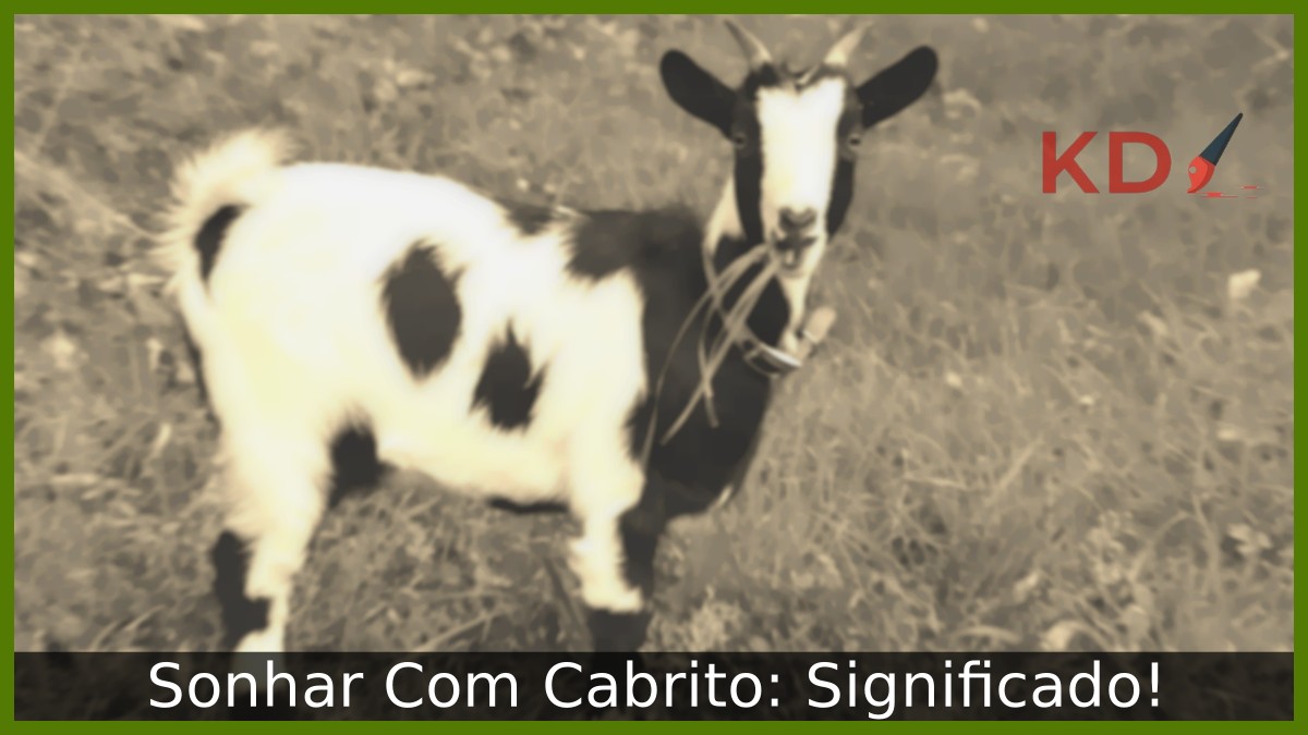 Sonhar Com Cabrito: Significado! 19 Sonhar Com Cabrito: Significado!