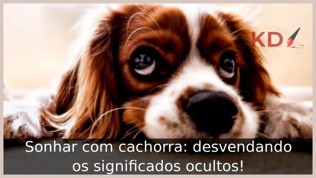 Sonhar com cachorra: desvendando os significados ocultos!