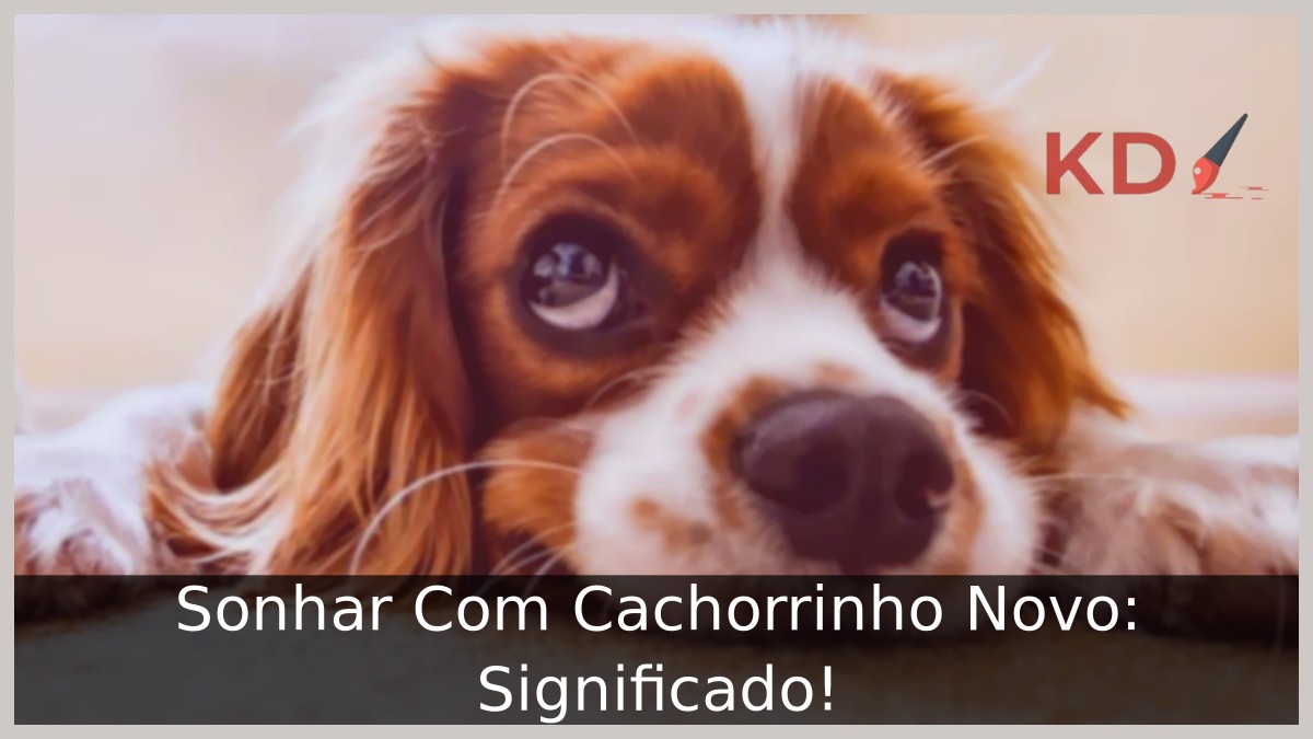 Sonhar Com Cachorrinho Novo: Significado! 13 Sonhar Com Cachorrinho Novo: Significado!
