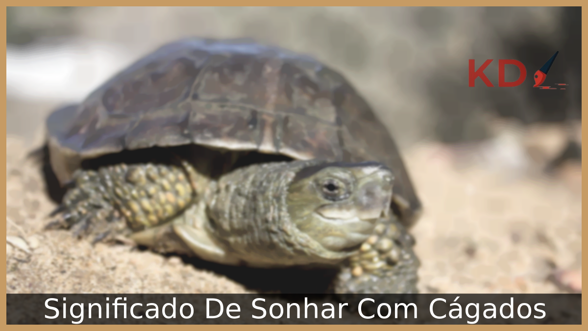 Sonhar Com Cágados
