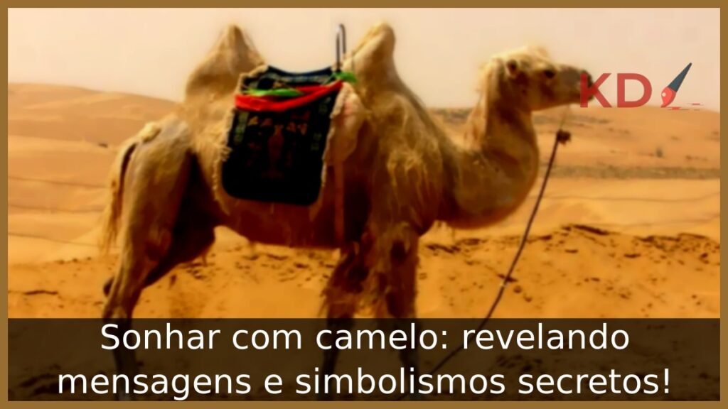 Sonhar com camelo: revelando mensagens e simbolismos secretos! 1 Sonhar com camelo: revelando mensagens e simbolismos secretos!