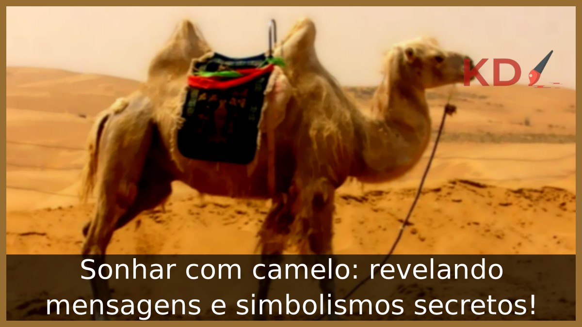 Sonhar com camelo: revelando mensagens e simbolismos secretos! 7 Sonhar com camelo: revelando mensagens e simbolismos secretos!