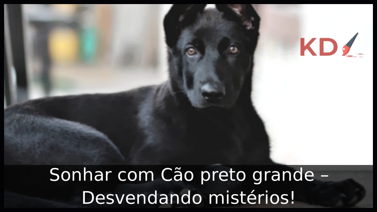 Sonhar com Cão preto grande - Desvendando mistérios! 17 Sonhar com Cão preto grande - Desvendando mistérios!