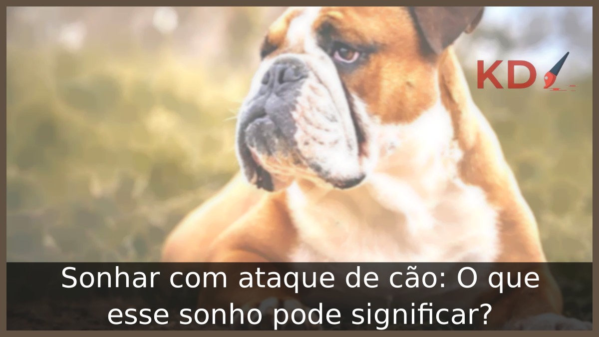 Sonhar com ataque de cão: O que esse sonho pode significar? 9 Sonhar com ataque de cão: O que esse sonho pode significar?