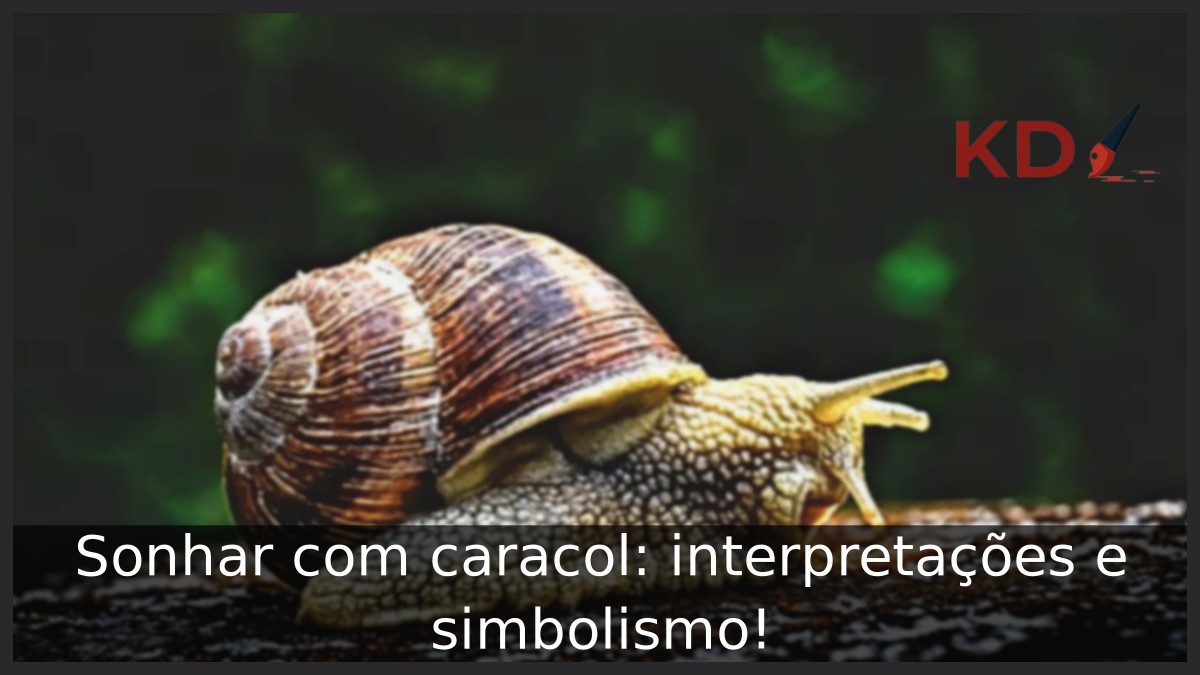 Sonhar com caracol: interpretações e simbolismo! 15 Sonhar com caracol: interpretações e simbolismo!
