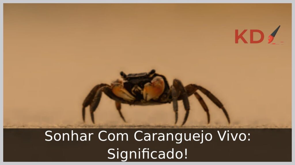 Sonhar Com Caranguejo Vivo: Significado!