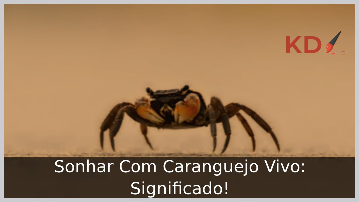 Sonhar Com Caranguejo Vivo: Significado! 1 Sonhar Com Caranguejo Vivo: Significado!
