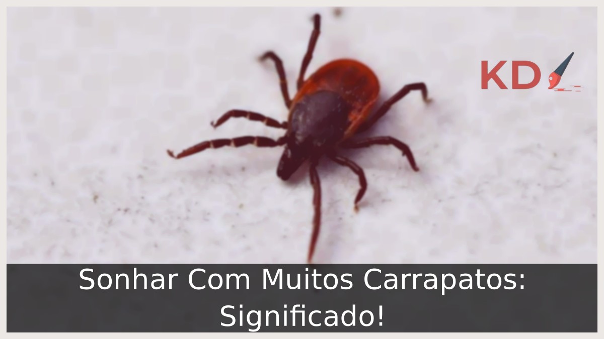 Sonhar Com Muitos Carrapatos: Significado! 22 Sonhar Com Muitos Carrapatos: Significado!