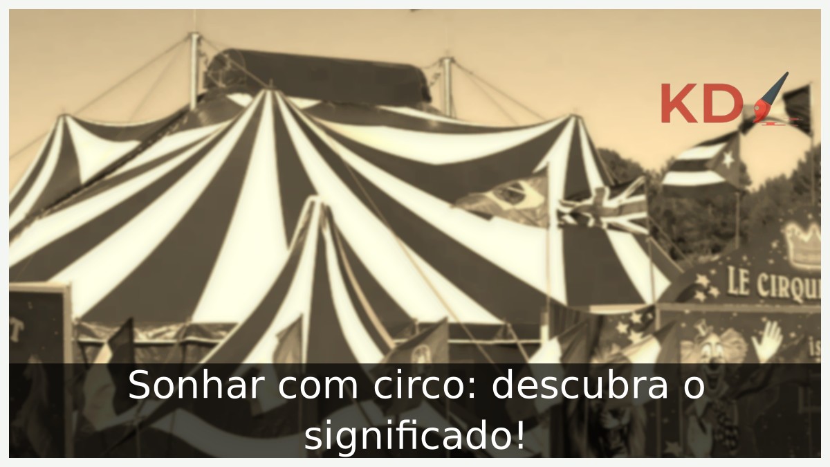 Sonhar com circo: descubra o significado! 23 Sonhar com circo: descubra o significado!