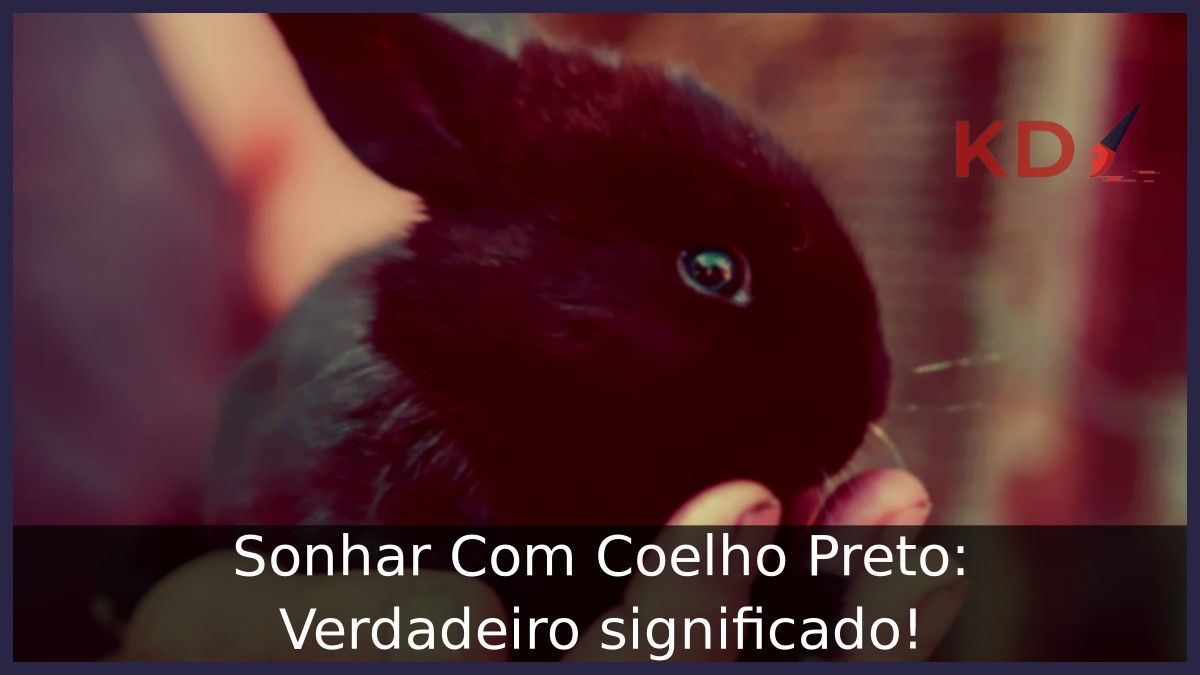 Sonhar Com Coelho Preto
