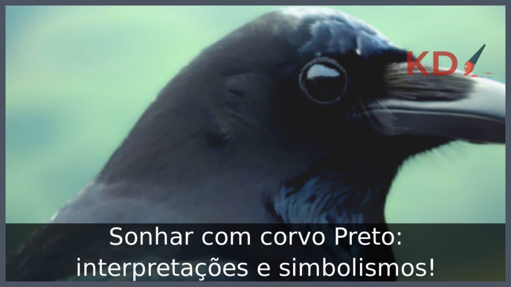 Sonhar com corvo Preto: interpretações e simbolismos!